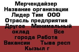 Мерчендайзер › Название организации ­ Лидер Тим, ООО › Отрасль предприятия ­ Другое › Минимальный оклад ­ 27 000 - Все города Работа » Вакансии   . Тыва респ.,Кызыл г.